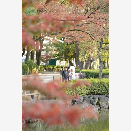 フォトスタジオ　ファータ（武田 渉）が撮影した「:albumName」の写真