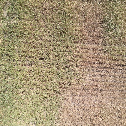 アナハイムエレクトロニクスが撮影したその他の写真