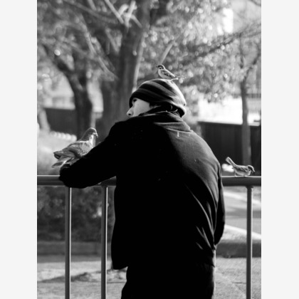 ハイナ　マテウスが撮影した「:albumName」の写真