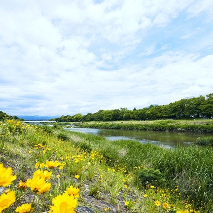 kiharu&photoが撮影した「:albumName」の写真