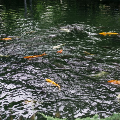 植村由理が撮影したウェディングや家族、ビジネスの写真