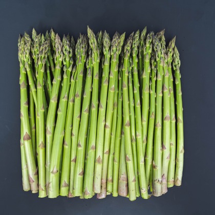 oryo studioが撮影したウェディングや家族、ビジネスの写真