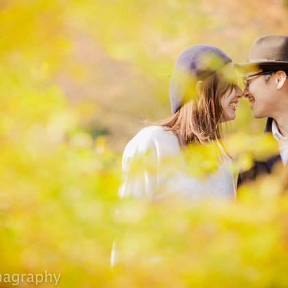 シキラマ グラフィーが撮影したウェディングや家族、ビジネスの写真