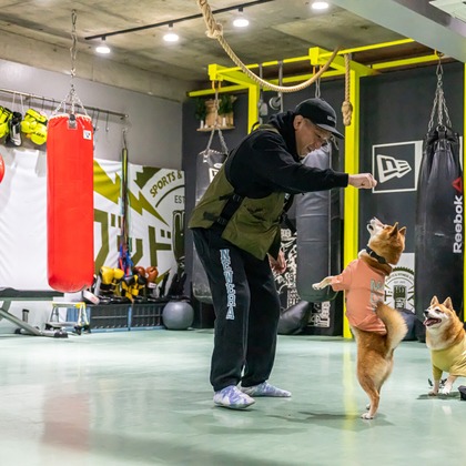 吉田佳央が撮影した「DOG SHOOTING」の写真