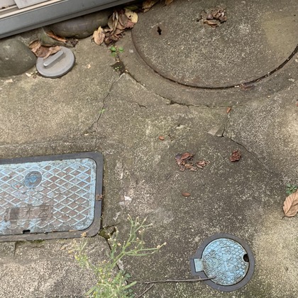 合同会社Joy Stormが撮影した「:albumName」の写真