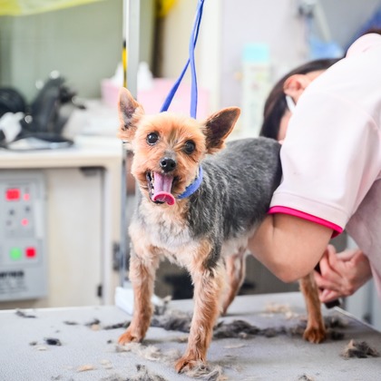 出張撮影 中村まみこが撮影した店舗/オフィス/サロン撮影の写真