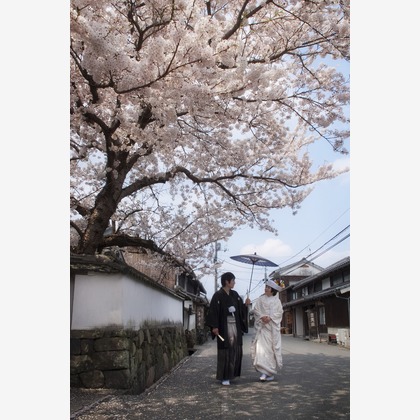 M-WEDDING（中村 雅己／中村 友美）	が撮影したウェディングや家族、ビジネスの写真