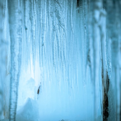 株式会社バックオフィスアクティが撮影した「:albumName」の写真