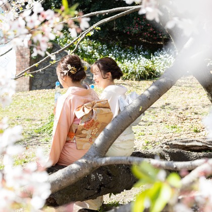 とうのまる制作室が撮影したその他の写真