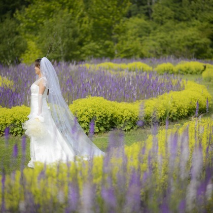 Photo of :albumName taken by C.RELATIONS