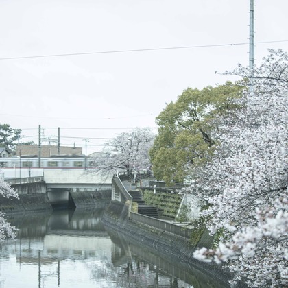 Sunstore 三條康貴が撮影したウェディングや家族、ビジネスの写真