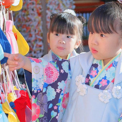 竹迫義文が撮影した「:albumName」の写真