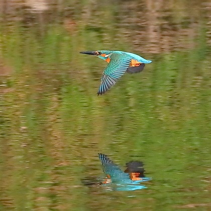 溝口崇が撮影した「:albumName」の写真