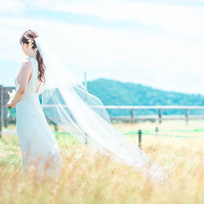 kudophotoが撮影した「:albumName」の写真