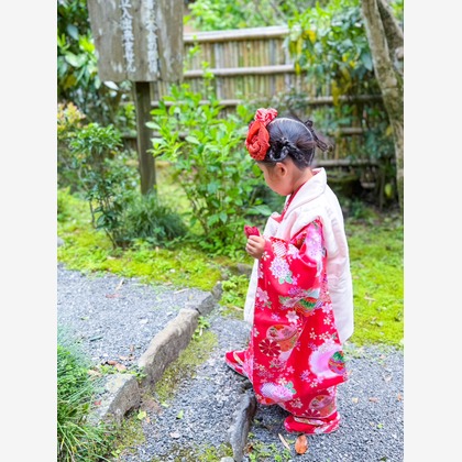 MASAKI J.・株式会社トマトベーネが撮影した「:albumName」の写真