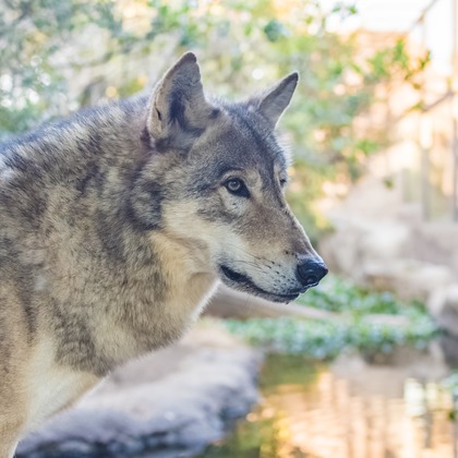 フォトスタジオ　ちっくたっくが撮影したその他の写真