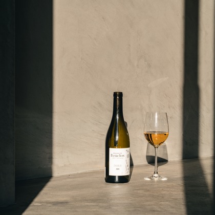 日下翔太郎が撮影した店舗/オフィス/サロン撮影の写真