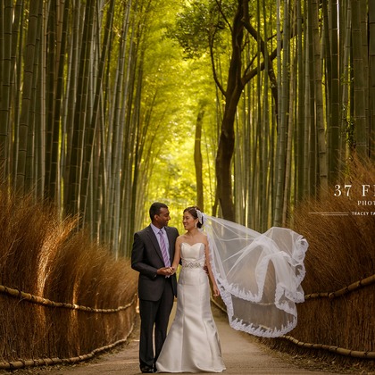 Photo of :albumName taken by 37framesphotography