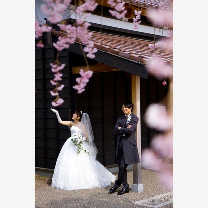 B'point photoが撮影した「フォトギャラリー」の写真