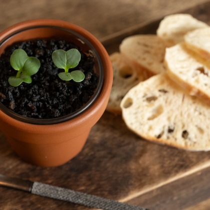 Tatsuyaが撮影した「:albumName」の写真