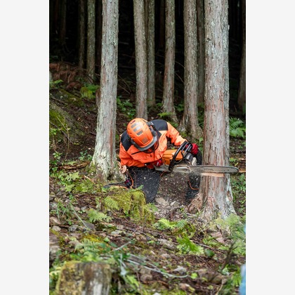山﨑さと子が撮影したウェディングや家族、ビジネスの写真