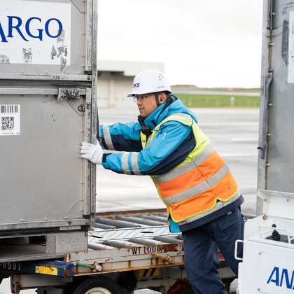 オフィス 芦野が撮影したウェディングや家族、ビジネスの写真