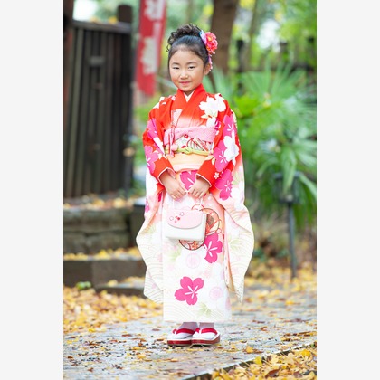 松井和幸が撮影した「:albumName」の写真