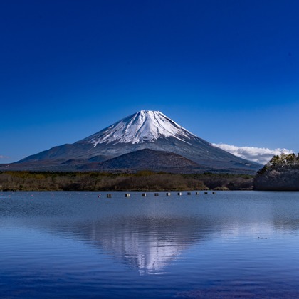 むらたたかしが撮影した「:albumName」の写真