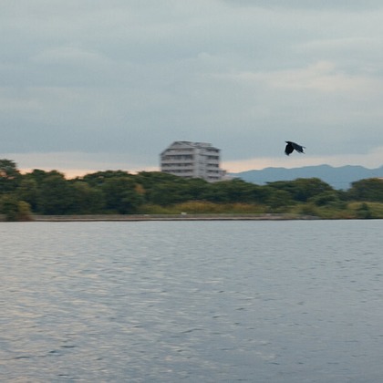 児玉 一成が撮影したウェディングや家族、ビジネスの写真