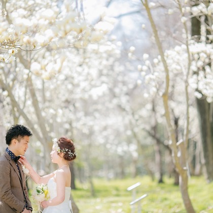 Tomi Photo Studioが撮影した「:albumName」の写真