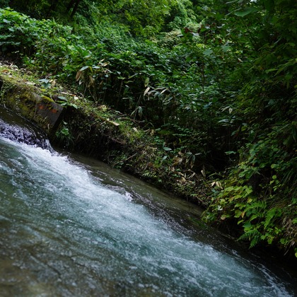 細部　歩が撮影したウェディングや家族、ビジネスの写真