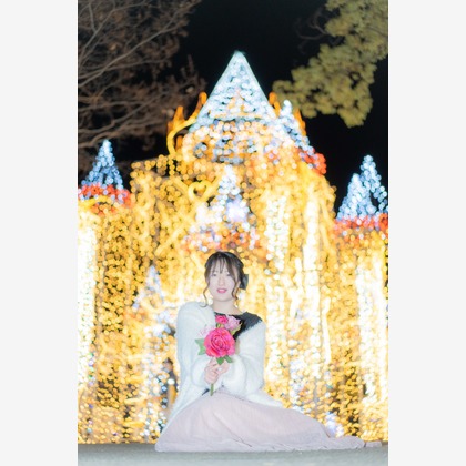 合同会社アルステクトが撮影した「:albumName」の写真