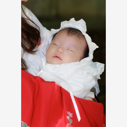 真方　祥が撮影した「:albumName」の写真