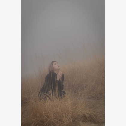 ならもとかずやが撮影した「:albumName」の写真