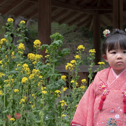 ミヤタカズコが撮影した「:albumName」の写真