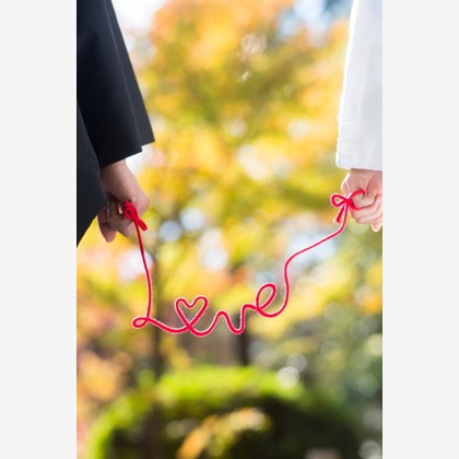 ピュアアーティス(小島 靖雄)が撮影した「:albumName」の写真