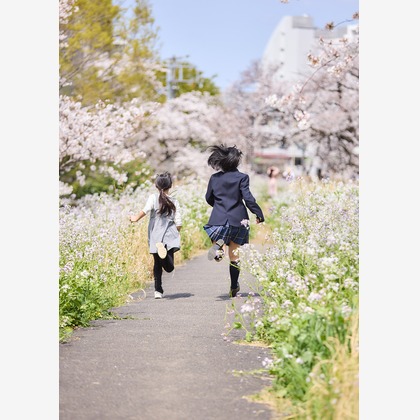 福冨ちはる写真事務所が撮影したウェディングや家族、ビジネスの写真