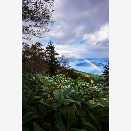 高木勇斗が撮影した「:albumName」の写真