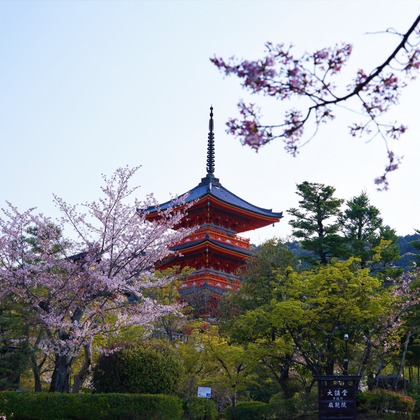 鈴木賢志が撮影した旅行先の記念撮影の写真