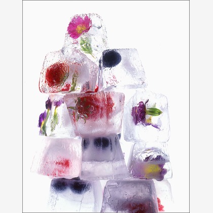 （有）プロヴィデンスが撮影した「:albumName」の写真