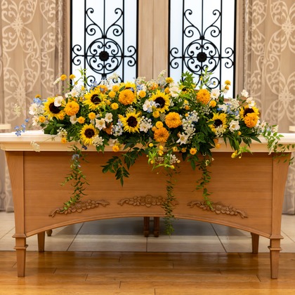 杉安写真事務所が撮影した「:albumName」の写真