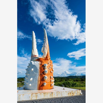 高木勇斗が撮影した「:albumName」の写真