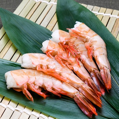 海住写真事務所が撮影した「:albumName」の写真