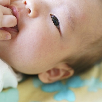 bozphoto & stylesが撮影した「:albumName」の写真