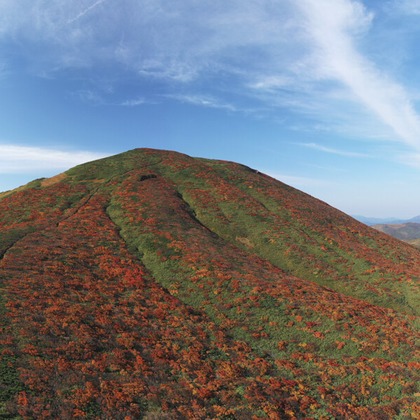studio風集が撮影したその他の写真