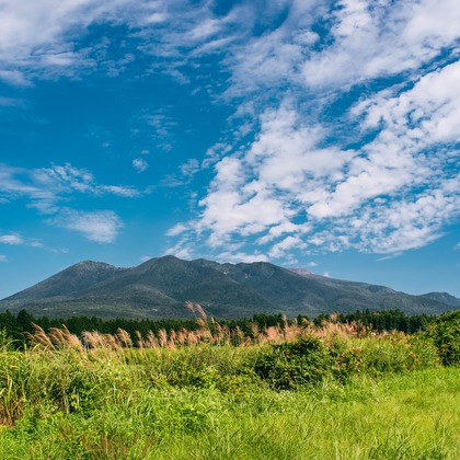 ATELIER SO_MARUが撮影した店舗/オフィス/サロン撮影/商品/物撮り/不動産/竣工/人物撮影の写真