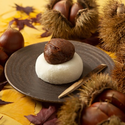 大野　恵敏が撮影した料理撮影/商品/物撮りの写真