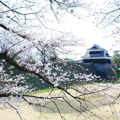 blink photoが撮影したウェディングや家族、ビジネスの写真