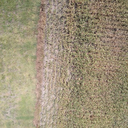 アナハイムエレクトロニクスが撮影したその他の写真