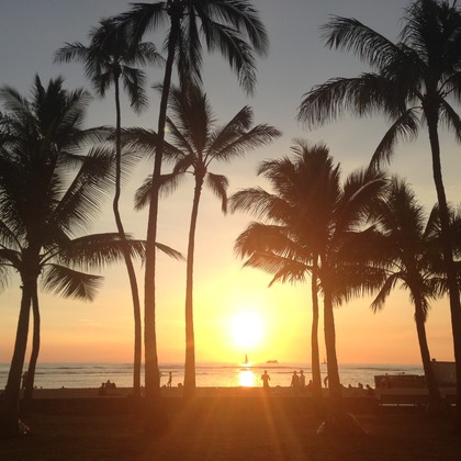 マイクロコズム合同会社が撮影した「:albumName」の写真